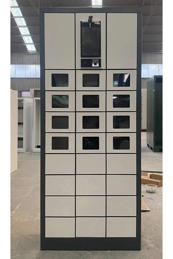 smart locker parcel delivery
