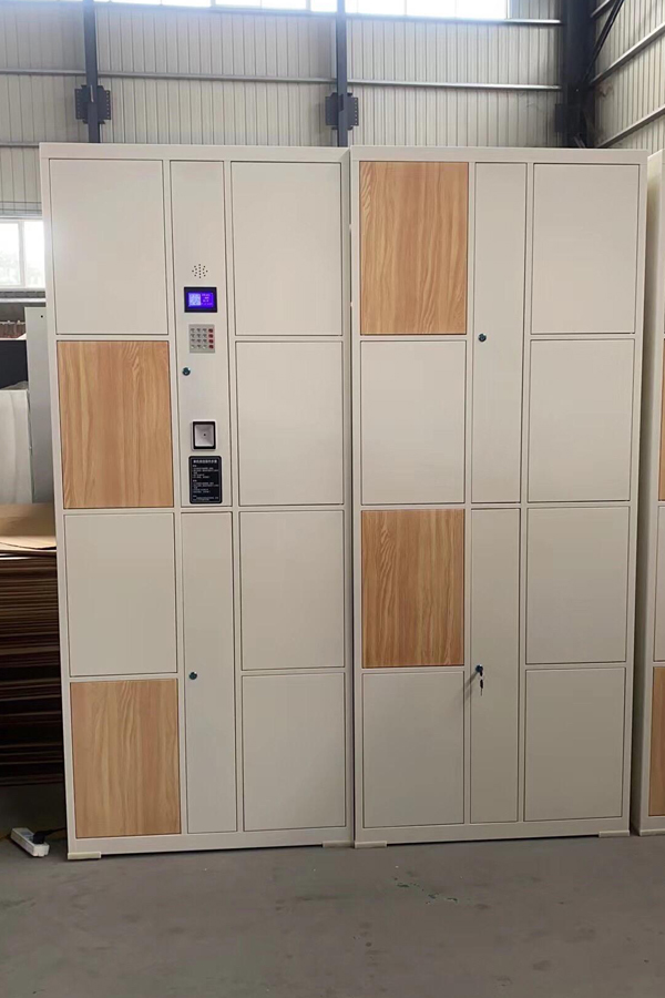 smart locker parcel delivery