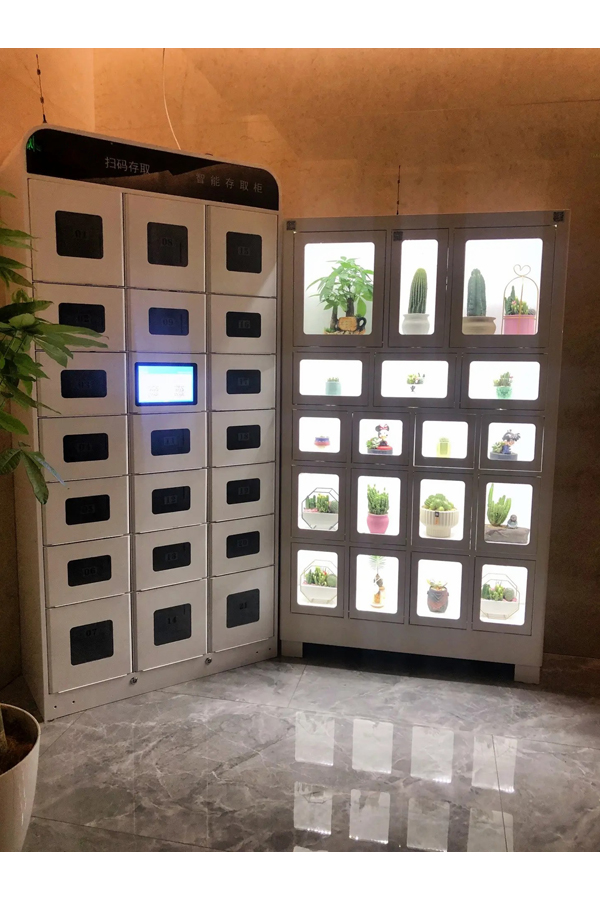 smart locker parcel delivery