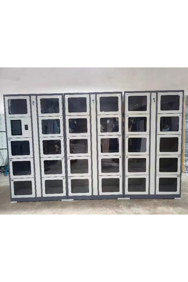 electronic smart locker