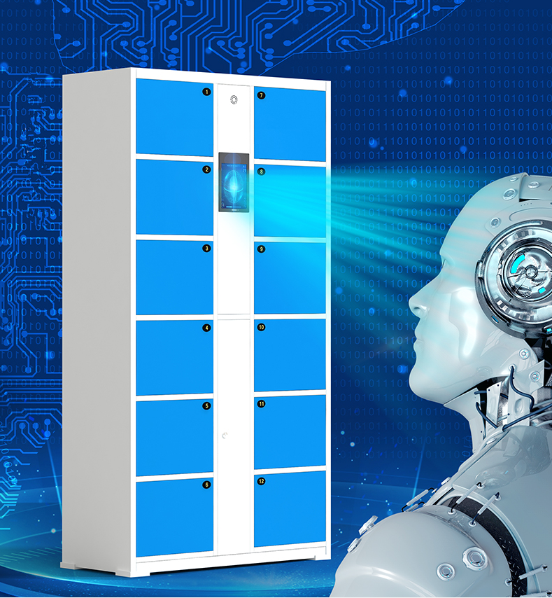 Face recognition electronic stroage locker